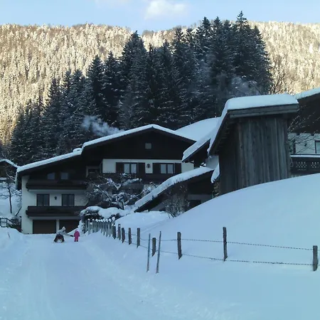 Rettenegger Apartament *