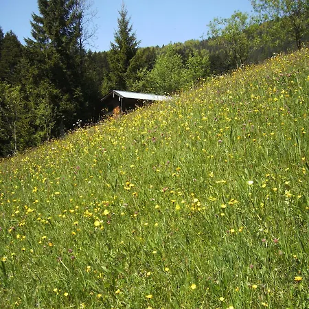 Rettenegger Apartamento