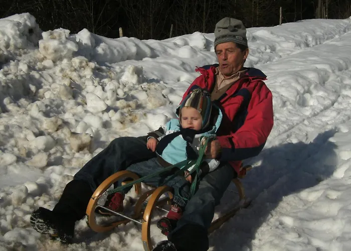 Apartamento Rettenegger *