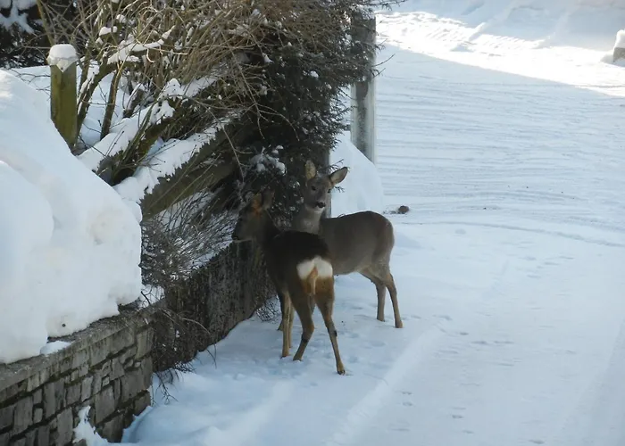 Daire Rettenegger Abtenau