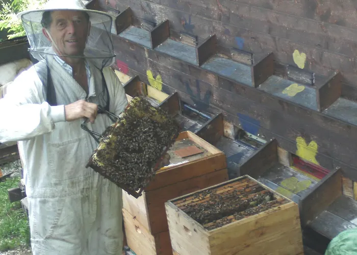 Rettenegger * Abtenau