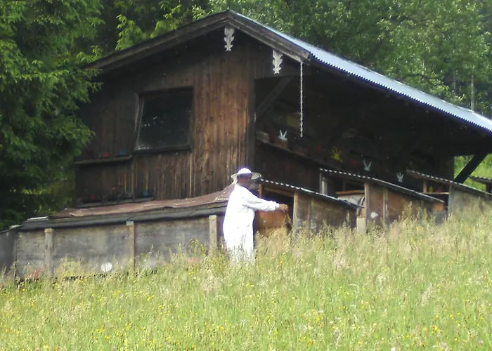 Rettenegger Daire Abtenau