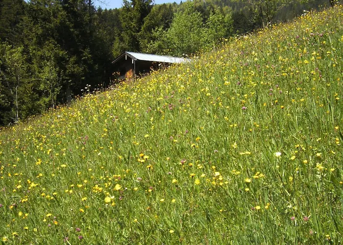 Rettenegger Apartamento